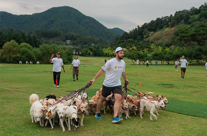 Record Setting Dogs img_1729767406568_672.jpg?