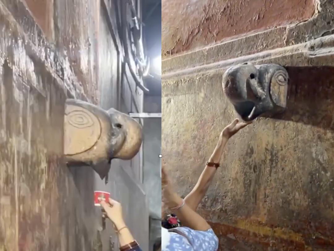 img_1730706394523_515.jpg?