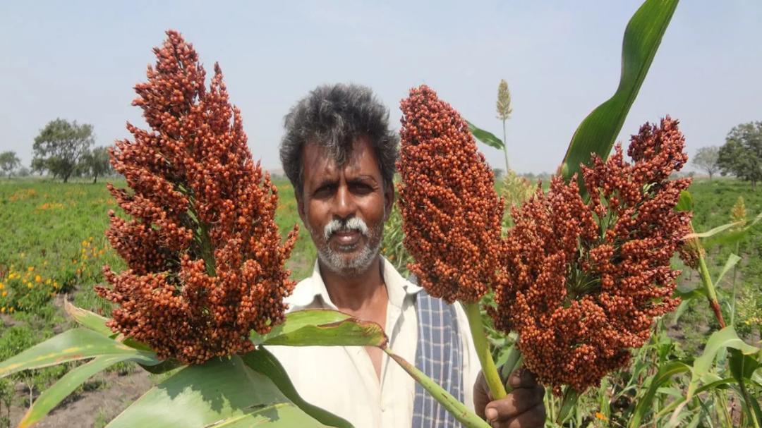 Karnataka farmer earns up to ₹7 lakh through integrated farming
