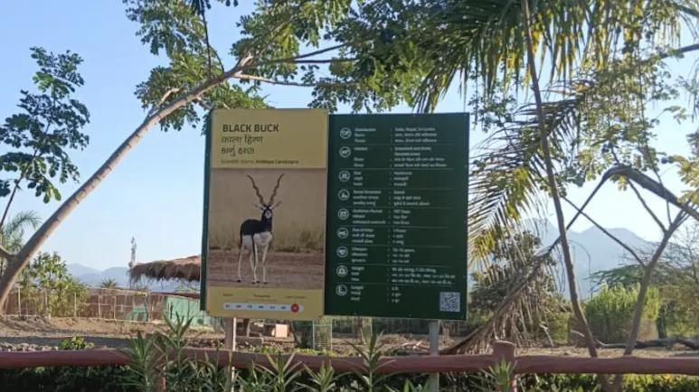 Leopard attack kills eight blackbucks near Statue of Unity.