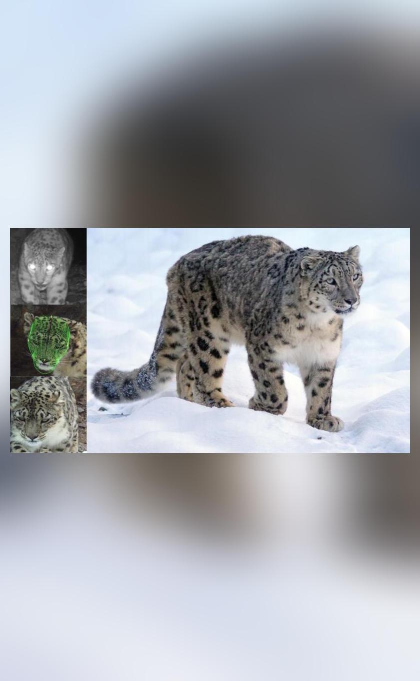 Img 1747465791779 943 Jpg