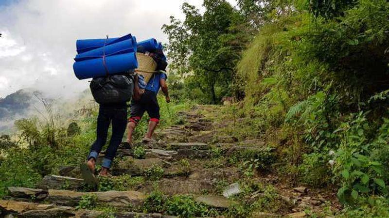 Shimla youth goes missing from Mantalai trek in Kullu