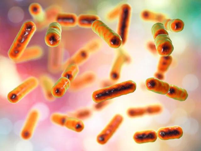New strain of bacteria found on Chinese space station