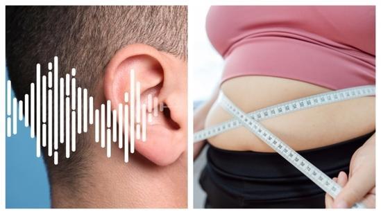 Sound waves may help people lose weight: Study