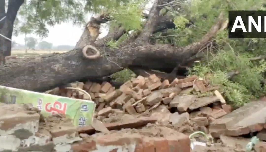 Tree fall kills woman, children in Delhi after heavy rain