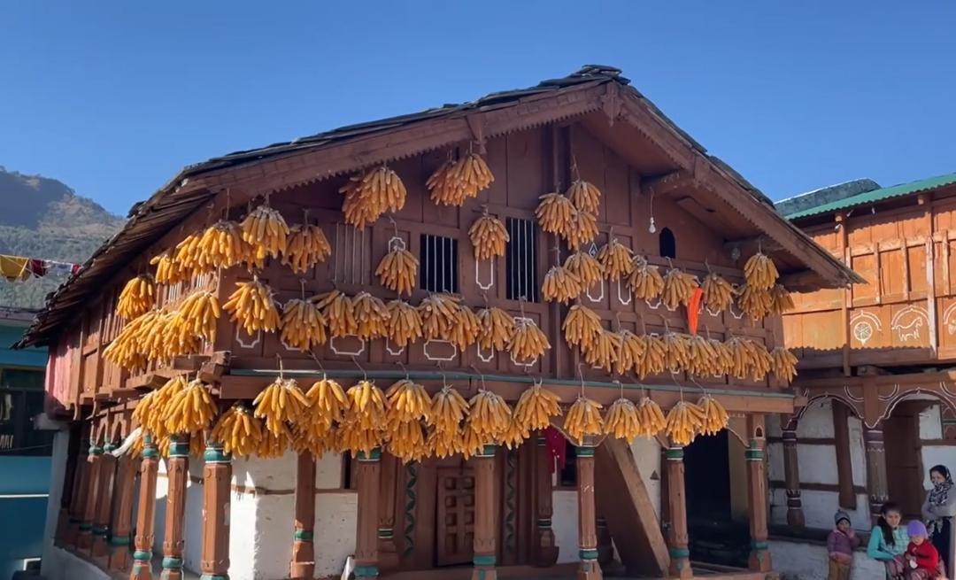 Sainji: The corn village of India