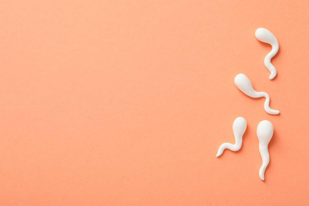 Can high uric acid affect sperm quality and male fertility?