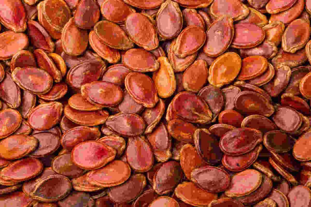 Are watermelon seeds a superfood for PCOD?