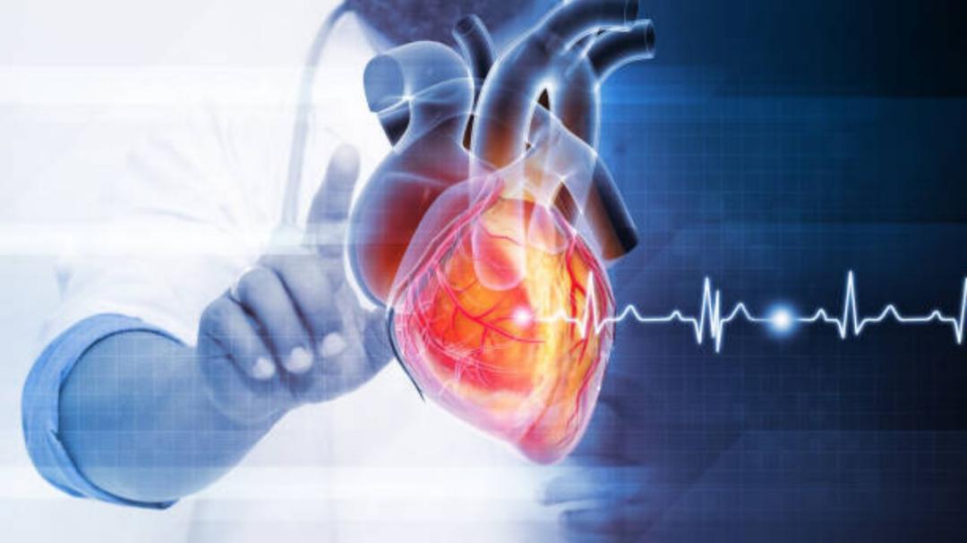 img-1753235856972-484-jpg