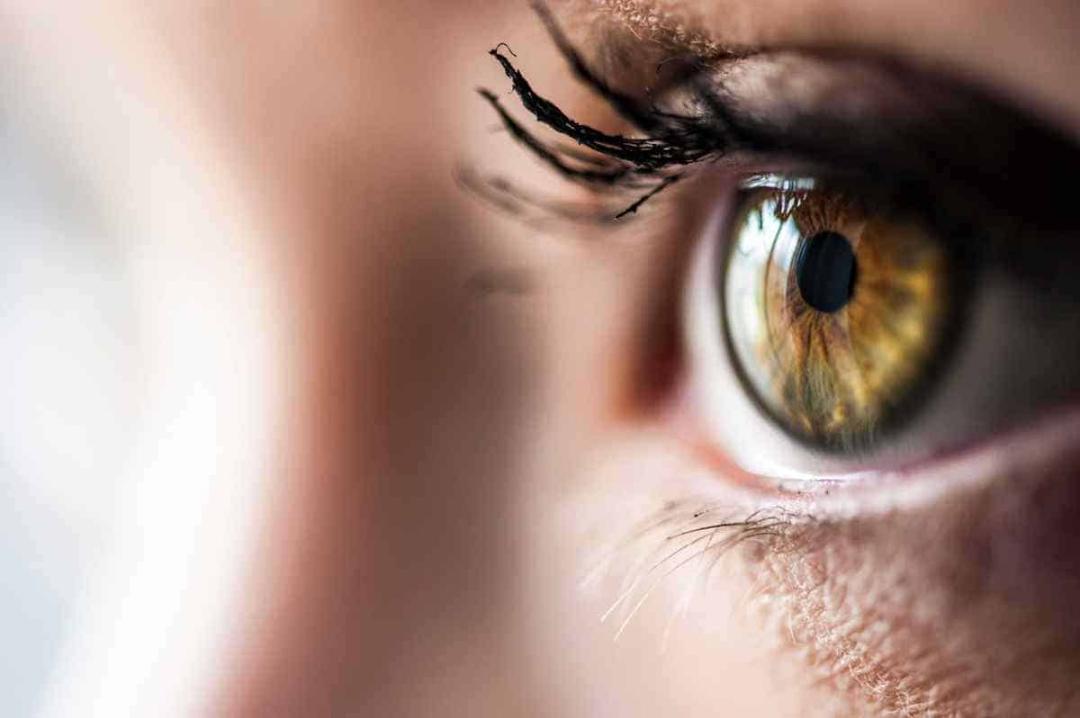 Triphala eye wash for screen strain? Here’s the real deal