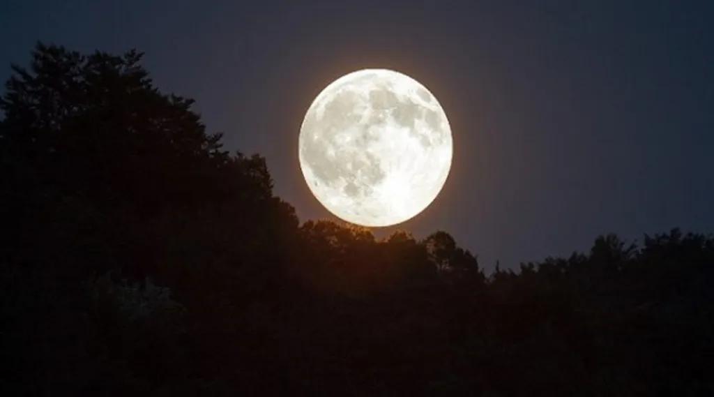 What celestial events will take place in the sky this month?