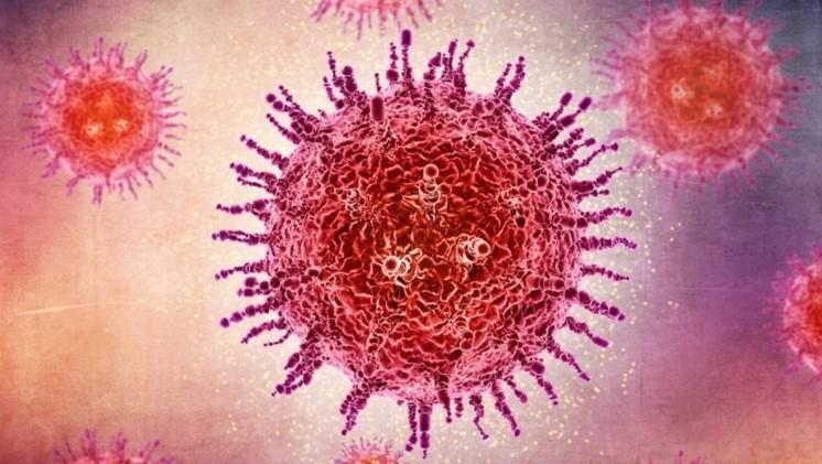 What is Oropouche virus and could it trigger the next epidemic?