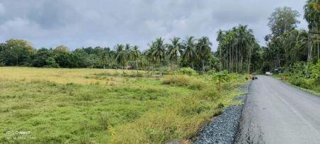 Lt Governor flags shrinking agricultural land in Andaman