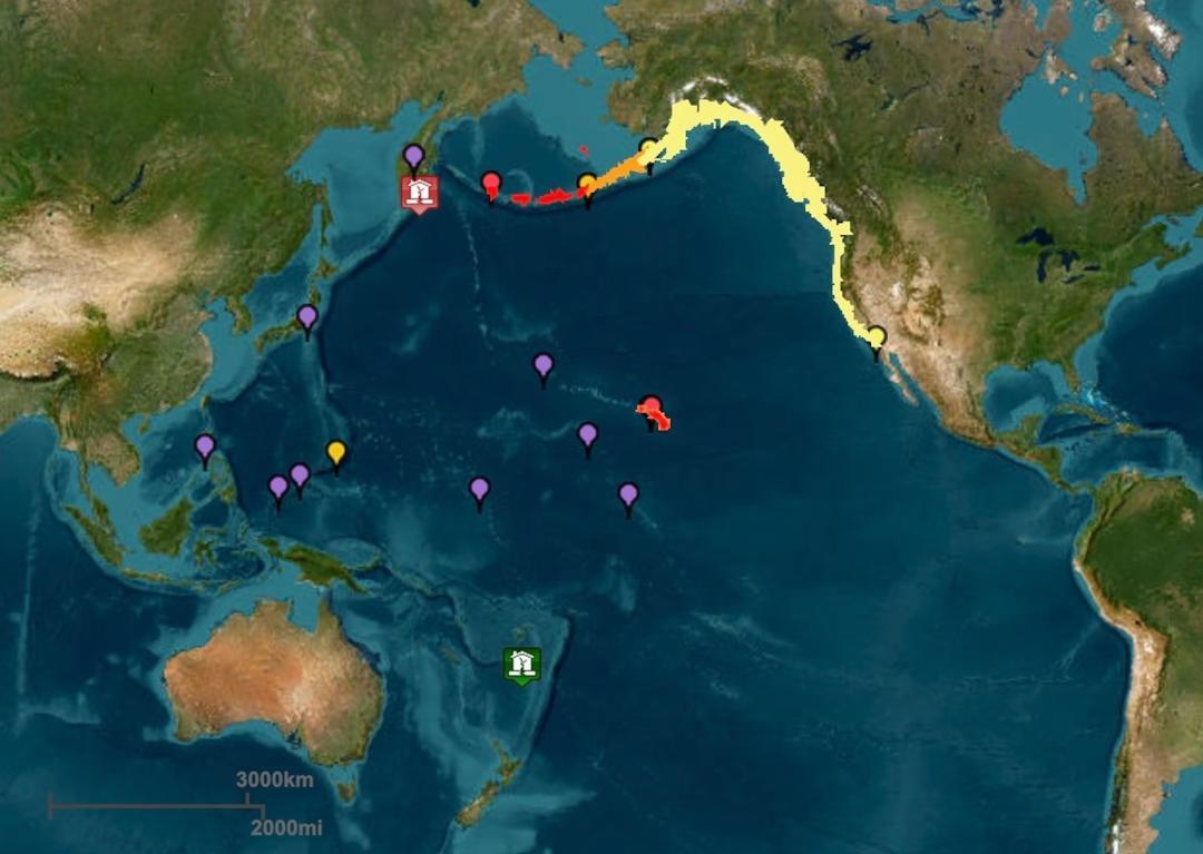 Does hawaii experience tsunamis