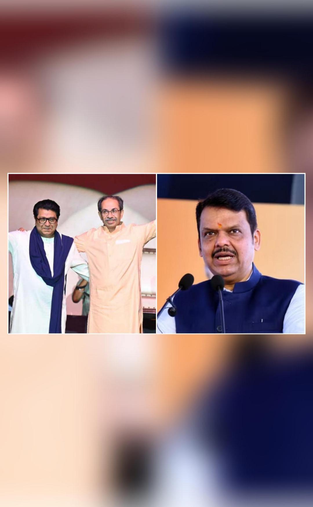 Thankful to Raj for giving me credit for bringing him, Uddhav together: Fadnavis