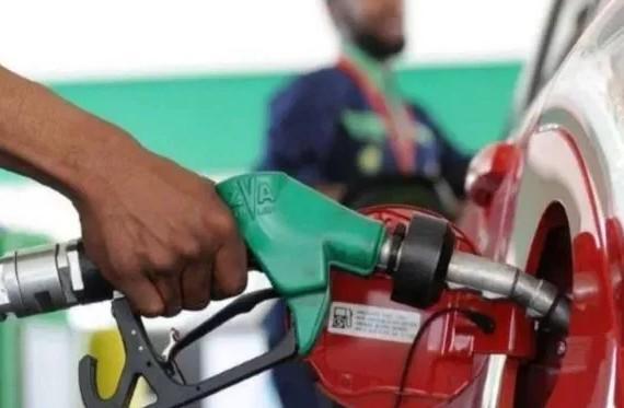 Govt responds as car owners claim mileage drop due to E20 petrol use