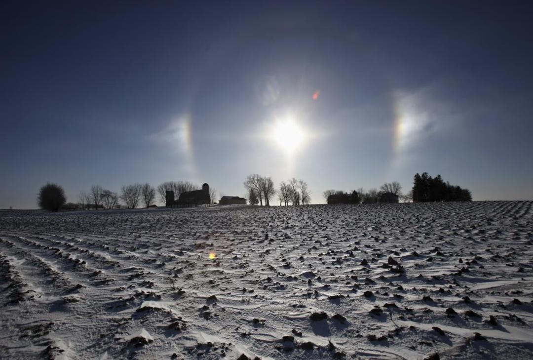 One Sundog img_1754113421187_611.jpg?