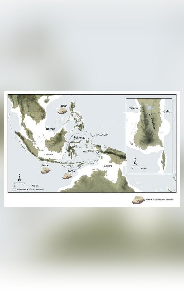 Archaeological discovery on Sulawesi