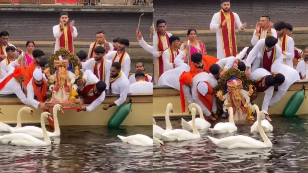 Ganesh Visarjan in London unfolds with swans surrounding Bappa