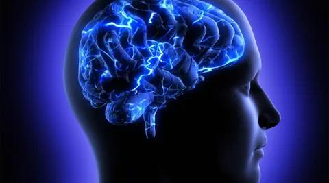 Switching off just one protein could reverse brain ageing: Study
