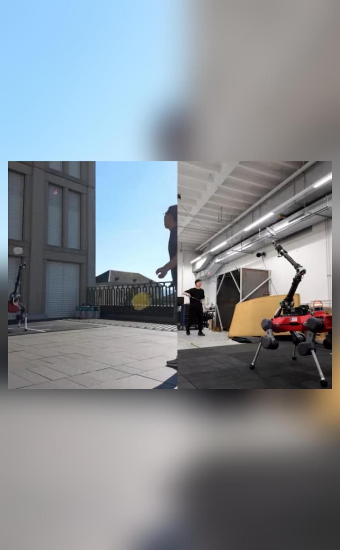 Robot Dog powered by AI plays badminton against humans 