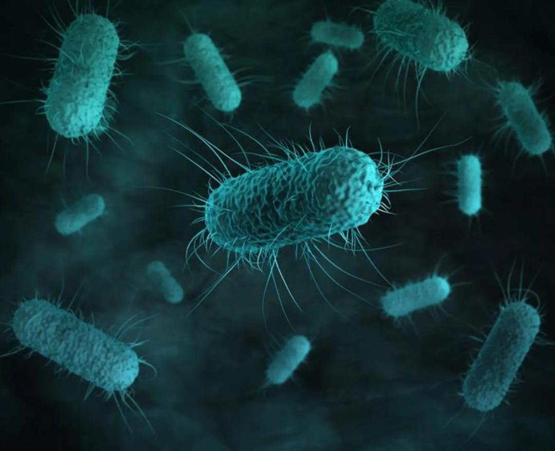 Study reveals countries most at risk from superbugs