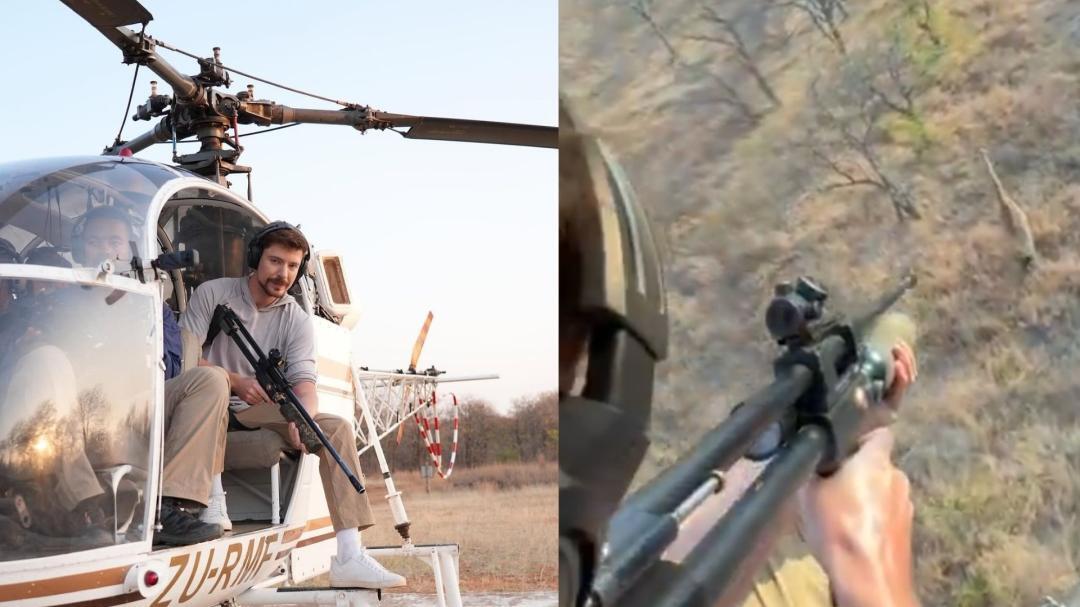Why was MrBeast seen shooting giraffes from a helicopter?