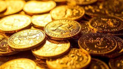 French man finds over ₹7 crore gold after digging swimming pool