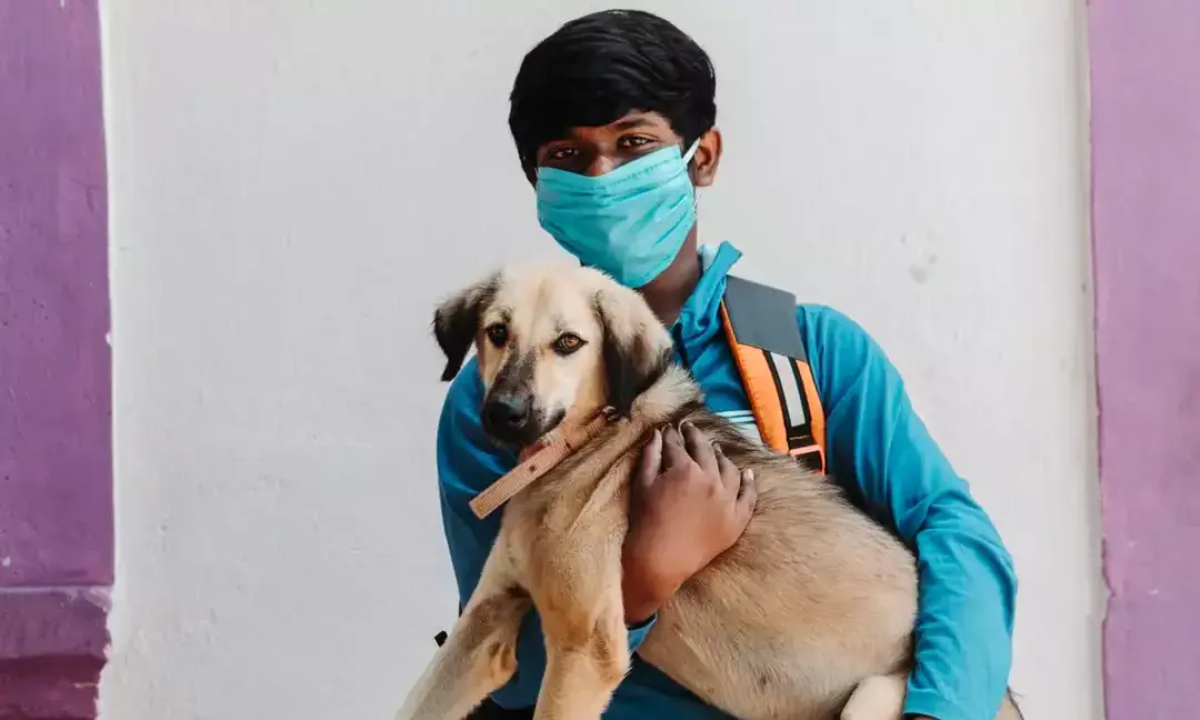 India's Pet Care Boom: A ₹5,000 cr opportunity for MSMEs