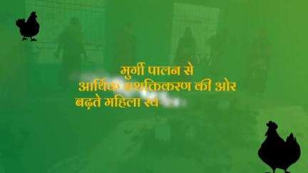 महिला स्व-सहायता समूहों का बढ़ता व्यवसाय
कड़कनाथ के पालन ने बढ़ाई आय #ruralemployment #cgmodel