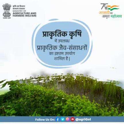 प्राकृतिक कृषि में उपलब्ध
प्राकृतिक जैव-संसाधनों का इष्टतम उपयोग शामिल है।
#Agriculture #horticulture #Globalagriculture #sustainableagriculture