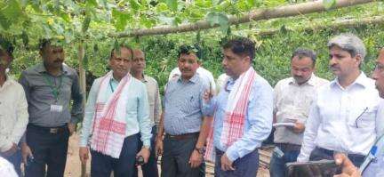 Dr.Prabhat Kumar, Horticulture Commissioner, GOI monitoring cluster-based demonstration on #organic #BlackPepper production, established under #MIDH Programme at Golaghat district, Assam.