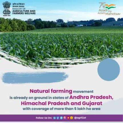 Natural farming movement is already on the ground in the states of Andhra Pradesh, Himachal Pradesh, and Gujarat with coverage of more than 5 lakh hec. area.
#Naturalfarming #Agriculture #sustainableagriculture #Farming #agrigoi