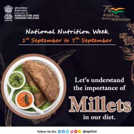 India is celebrating "National Nutrition Week" to motivate people to live a healthy Life. 
#nationalnutritionweek2022 #stayhealthy #stayfit #healthylifestyle #India #agrigoi