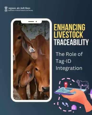 Enhancing Livestock Traceability with Tag-ID Integration: A Game-Changer #livestock #nationaldigitallivestockmission #DigitalIndia