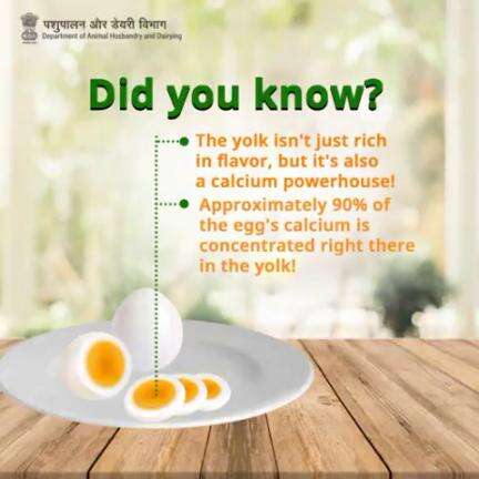 Don't let the yolk go to waste - it's packed with essential nutrients for your body's health! 
#EggFacts #nutrient