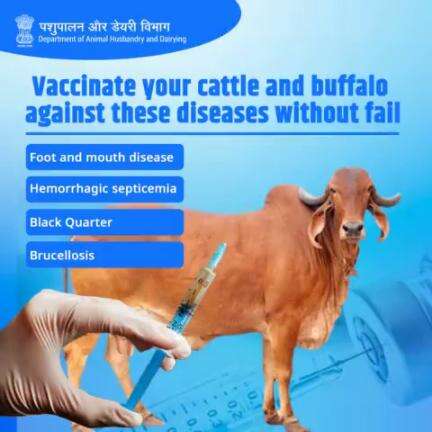 Invest in livestock health today for a brighter, healthier tomorrow!
Ensuring livestock health is not just about livestock; it's about building a healthier, more sustainable future for us all. 
 #livestockHealth #SustainableFuture