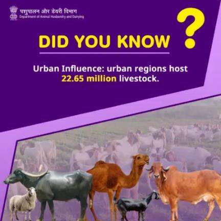 Did You Know?
Cities have 22.65 million livestock animals! 
#livestockcensus #animalhusbandry