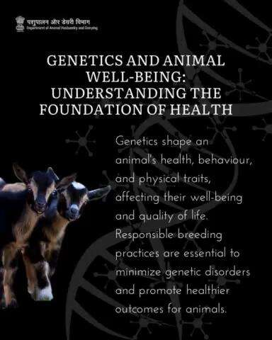 Unlocking the Genetic Blueprint: Enhancing Animal Well-being through Responsible Breeding. #animalwelfare #LivestockCare #animalcare #animalhusbandry #breeding