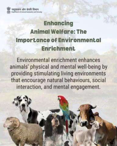 Creating Thriving Environments: Enriching Lives, One Habitat at a Time. #AnimalWelfare #ThriveInHabitats #nature #livestockcare #animalcare