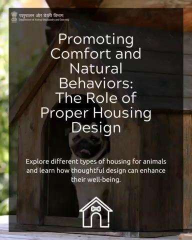 Discover the significance of thoughtful housing design for animals, promoting comfort and natural behaviors. From spacious enclosures to enriching environments, learn how proper design enhances their well-being. #animalwelfare