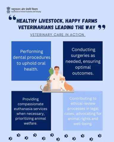 Healthy Livestock, Happy Farms: Veterinarians Leading the Way! 

Veterinary Care in Action 🐾 From diagnosing and treating diseases to performing surgeries and advocating for #animalwelfare