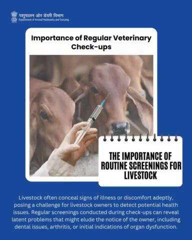 Spotting the Unseen: Routine screenings uncover hidden pet health issues, ensuring early detection and prompt treatment.
#veterinarianscare #animalwelfare