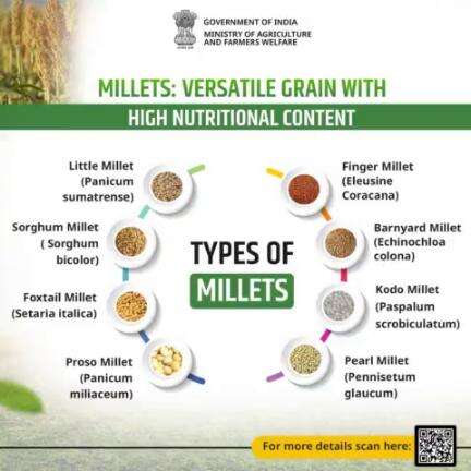 Millets are a versatile grain known for their nutritional density, gluten-free nature, and adaptability to various climates, offering a range of culinary possibilities.

#agrigoi #Millets #IYM2023 #ShreeAnna