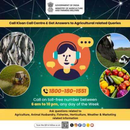 #KisanCallCentre provides solutions to all your queries related to #Agriculture, #AnimalHusbandry, #Horticulture, #WeatherAlert & #Marketing related info. Dial on toll-free no. 1800-180-1551 any day of the week from 6 AM to 10 PM.