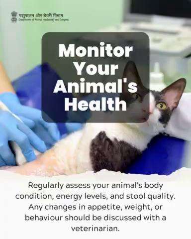 Keeping tabs on well-being: Regularly evaluate your animal's condition, energy, and digestion. Any shifts in appetite, weight, or behavior warrant a conversation with your veterinarian for proactive care.
#AnimalWelfare #onehealth