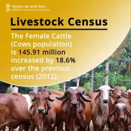 Livestock Census: Female cattle (cows) now total 145.91 million, up by 18.6% from the 2012 count.
#LivestockCensus