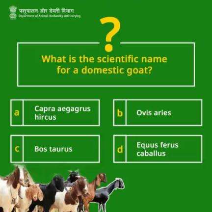 Can you guess the scientific name of a domestic goat?
Test your knowledge with this trivia challenge!
#quiz