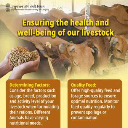 Feed well, thrive better! 🌾 Ensuring top-notch nutrition tailored to every hoof, feather, or paw. 🐄🐔 #LivestockNutrition