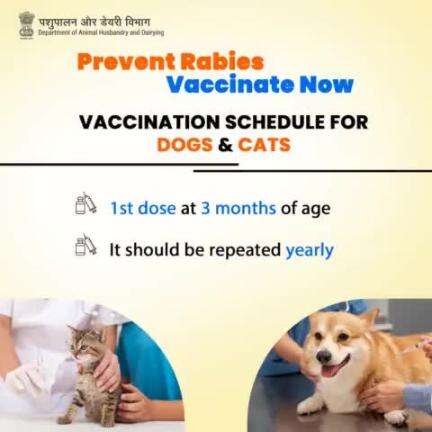 Prevent Rabies, Vaccinate Now! 
Dogs & cats: 1st dose at 3 months, subsequent yearly. 
#preventrabies #VaccinateNow